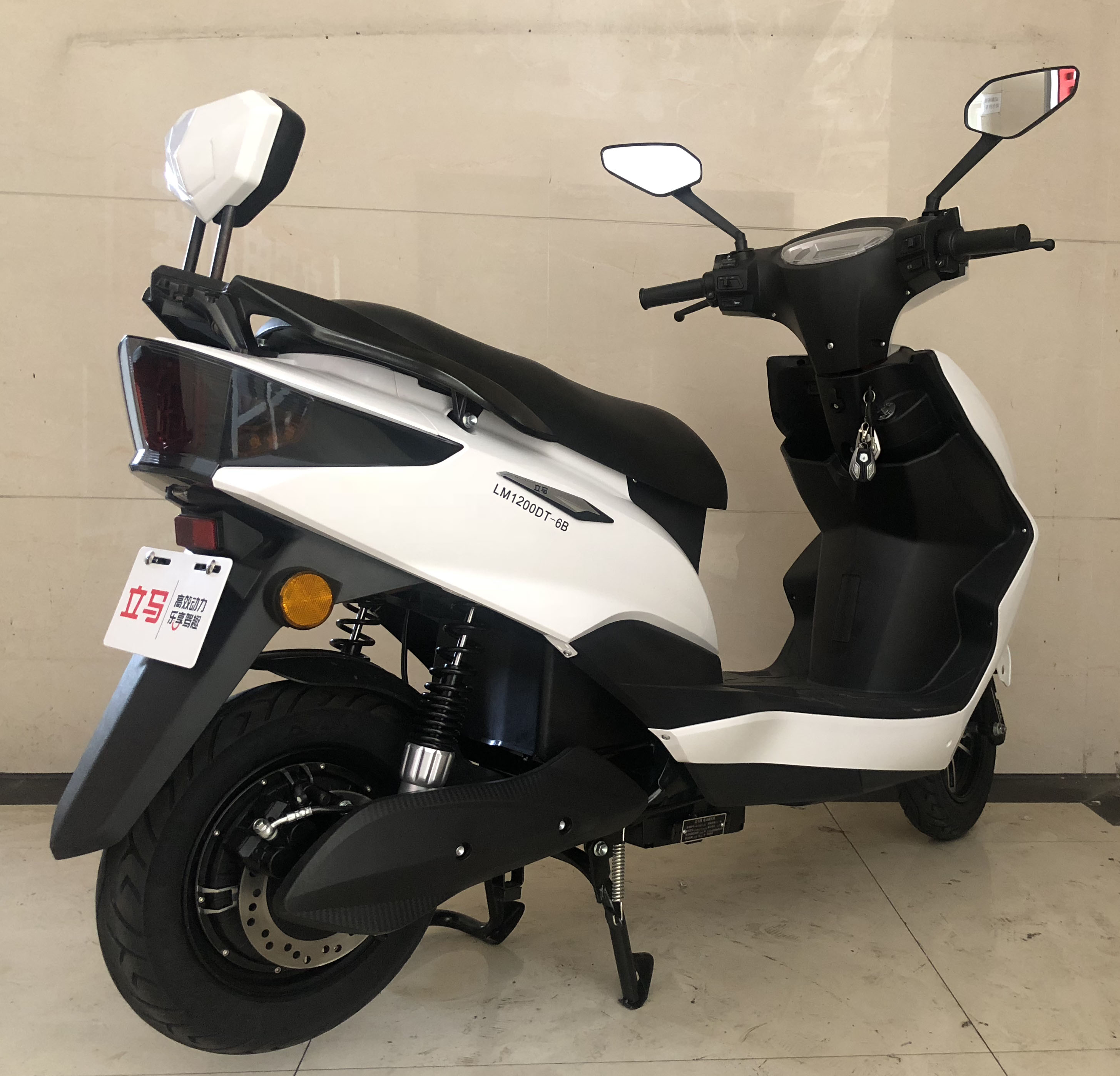 立马牌LM1200DT-6B电动两轮摩托车公告图片