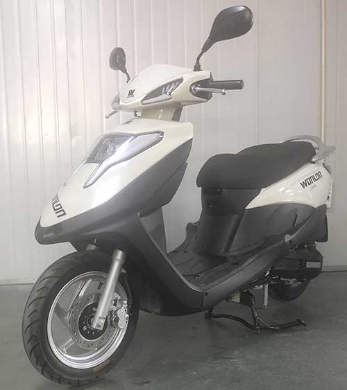 望龙牌WL125T-35两轮摩托车公告图片