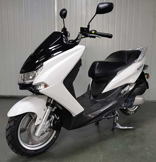 望龙牌WL125T-33两轮摩托车公告图片