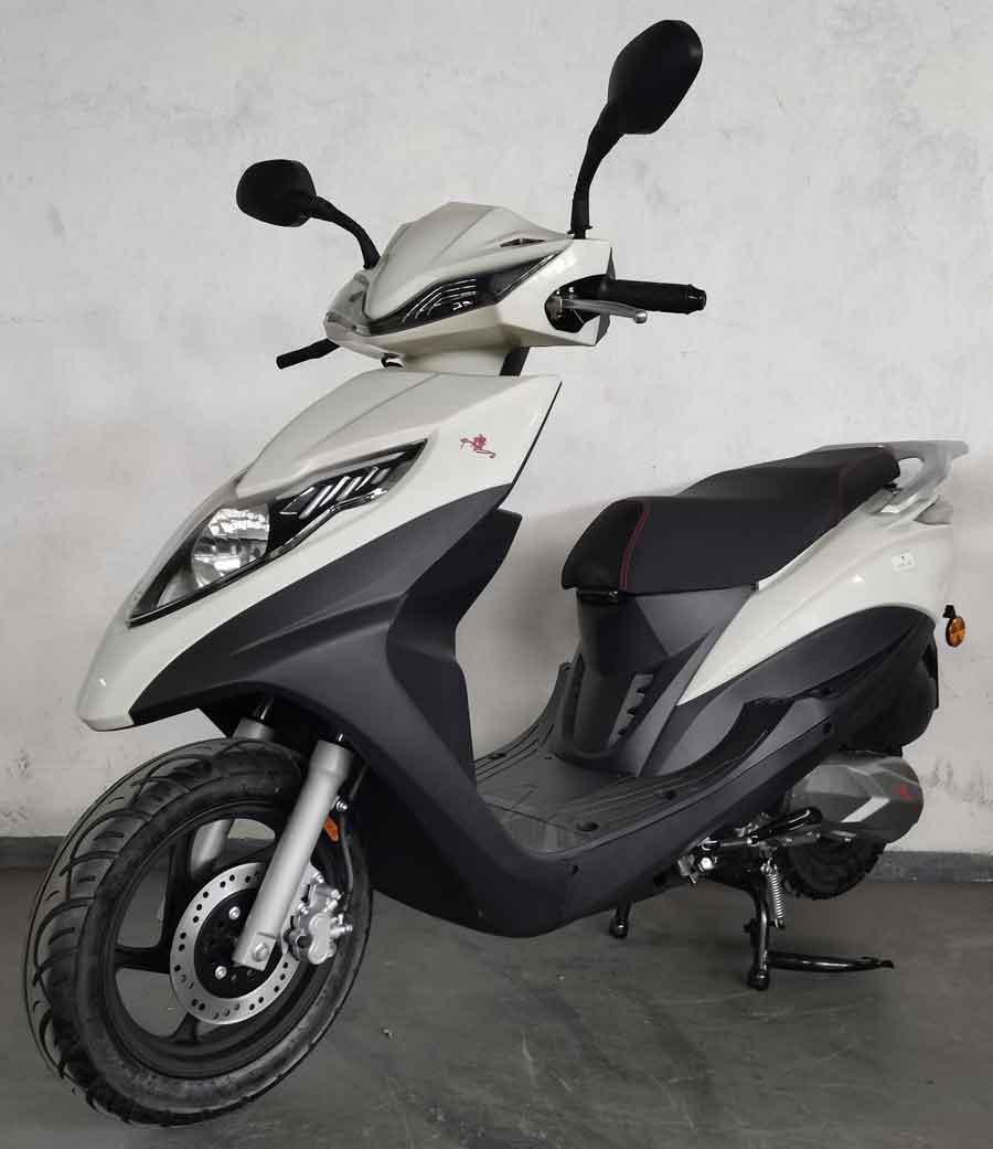 广鹰牌GY125T-19Y两轮摩托车公告图片