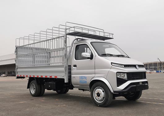 遠程牌ZB5030CCYDDE1L倉柵式運輸車公告圖片