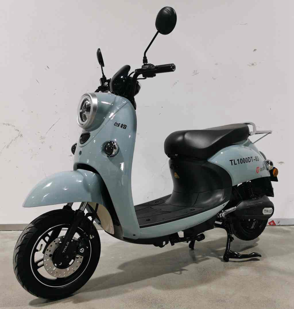 台铃牌TL1000DT-83电动两轮摩托车公告图片