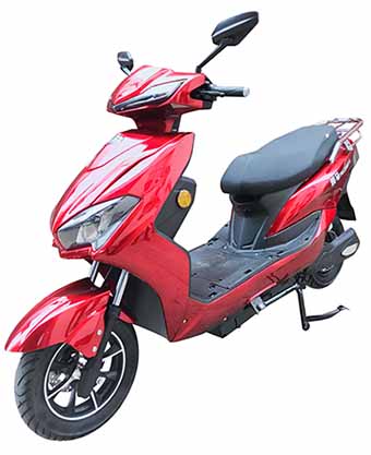 统马牌TM1200DT-5电动两轮摩托车公告图片