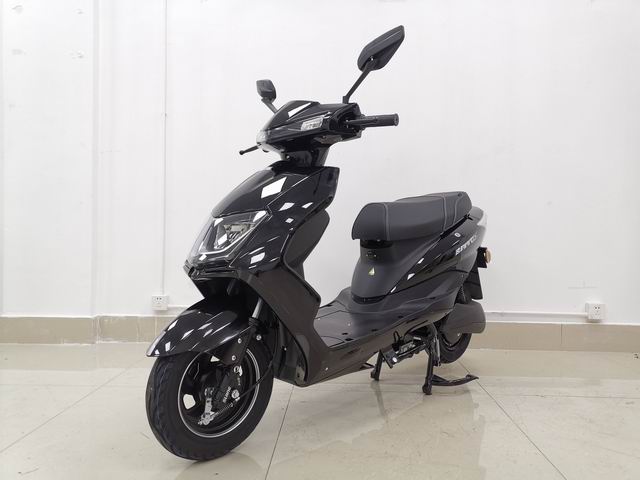 新蕾牌XL600DQT-11电动两轮轻便摩托车公告图片