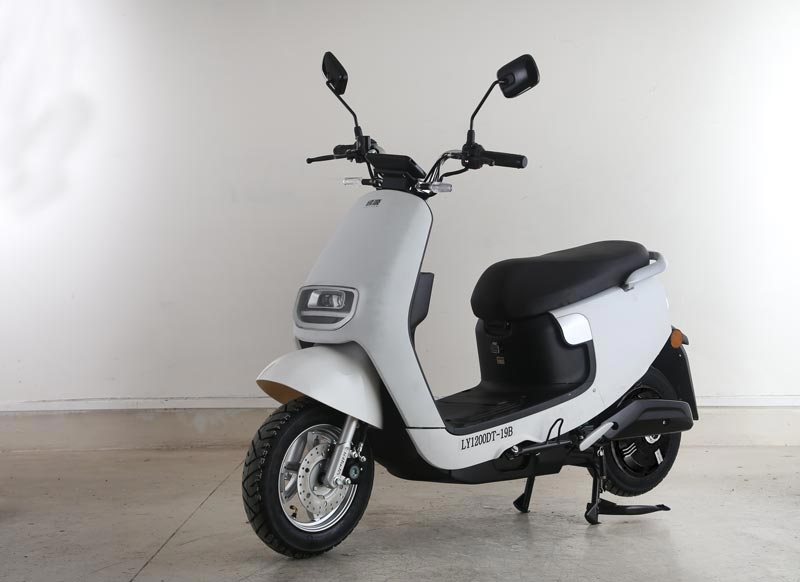绿源牌LY1200DT-19B电动两轮摩托车公告图片