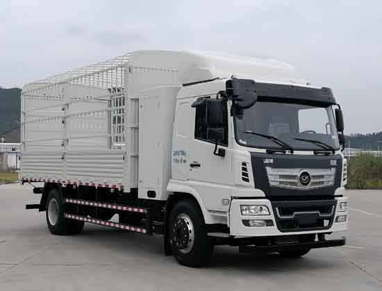 嘉龍牌DNC5187CCYBEVL1純電動(dòng)倉(cāng)柵式運(yùn)輸車公告圖片