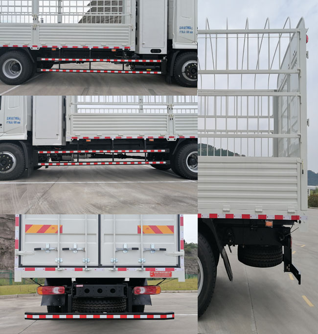 嘉龍牌DNC5187CCYBEVL1純電動(dòng)倉(cāng)柵式運(yùn)輸車公告圖片