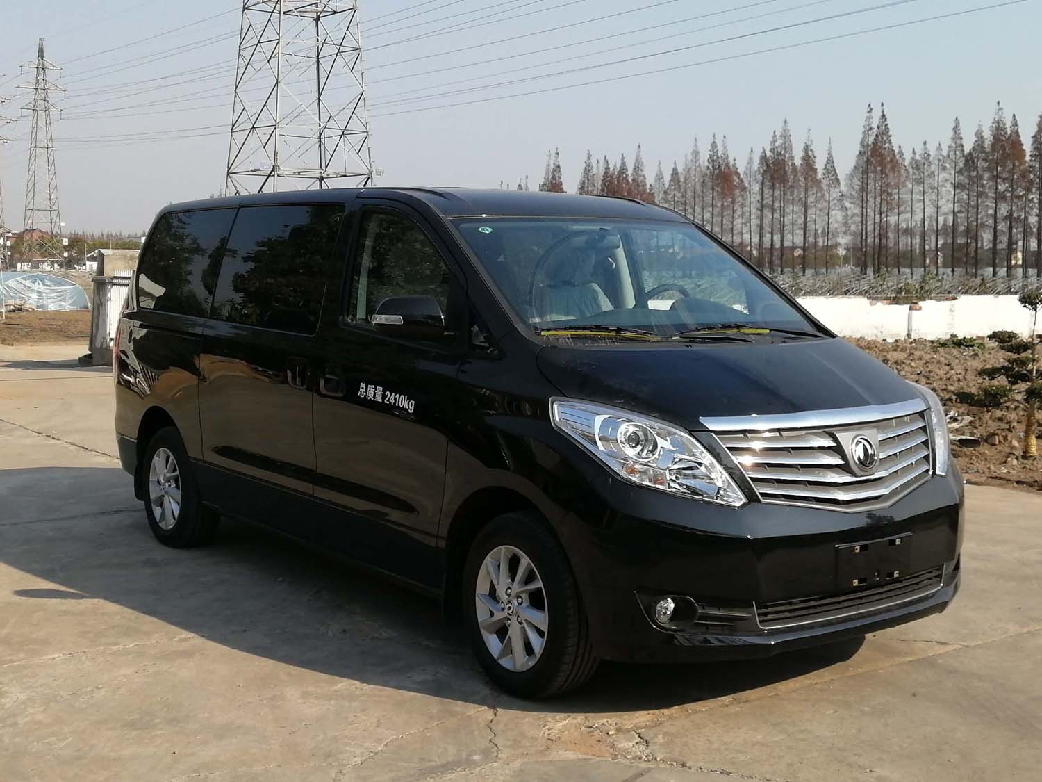 友誼牌ZGT5023XBY1T殯儀車公告圖片