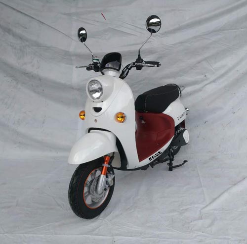 东龙牌DL1500DT-2电动两轮摩托车公告图片