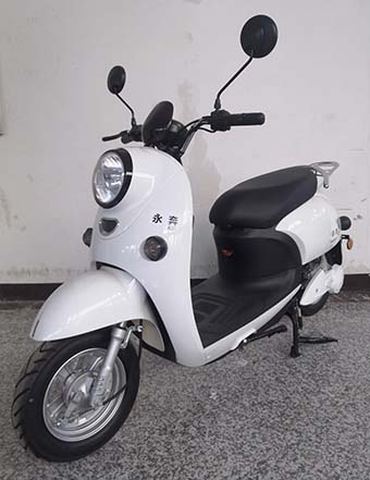 永奔牌YB1200DT-4电动两轮摩托车公告图片