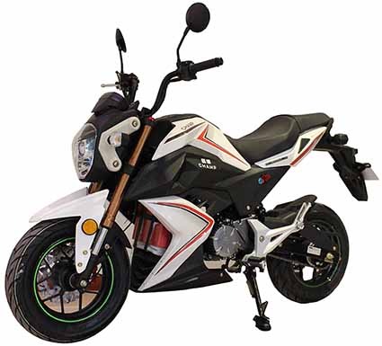 昌博牌CP1200DGS-4A电动两轮摩托车公告图片