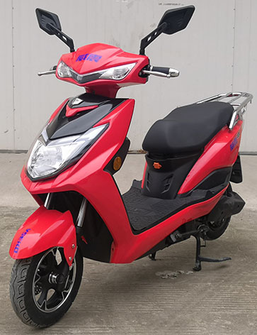 威震牌WZ1200DT-2C电动两轮摩托车公告图片