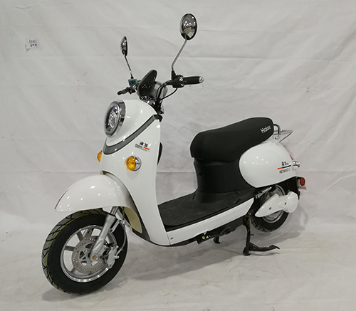 海戈牌HG1500DT-2电动两轮摩托车公告图片