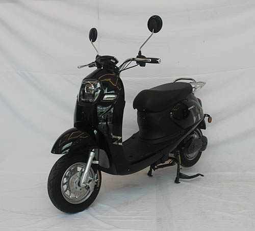 ZA500DQT-2 真爱牌纯电动前盘式后鼓式电动两轮轻便摩托车图片