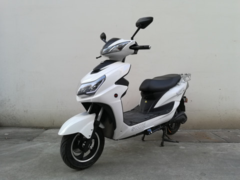 狮龙牌SL1200DT-6电动两轮摩托车公告图片