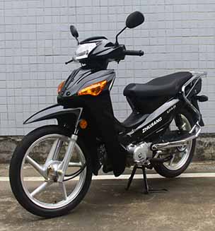 珠江牌ZJ110-2V两轮摩托车公告图片