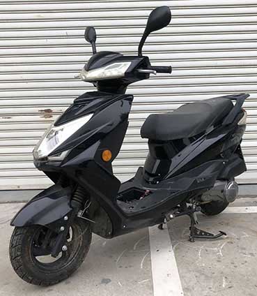 東之牌DZ125T-36D两轮摩托车公告图片