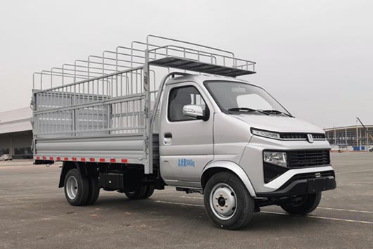 遠(yuǎn)程牌ZB5031CCYDDE1L倉柵式運(yùn)輸車公告圖片