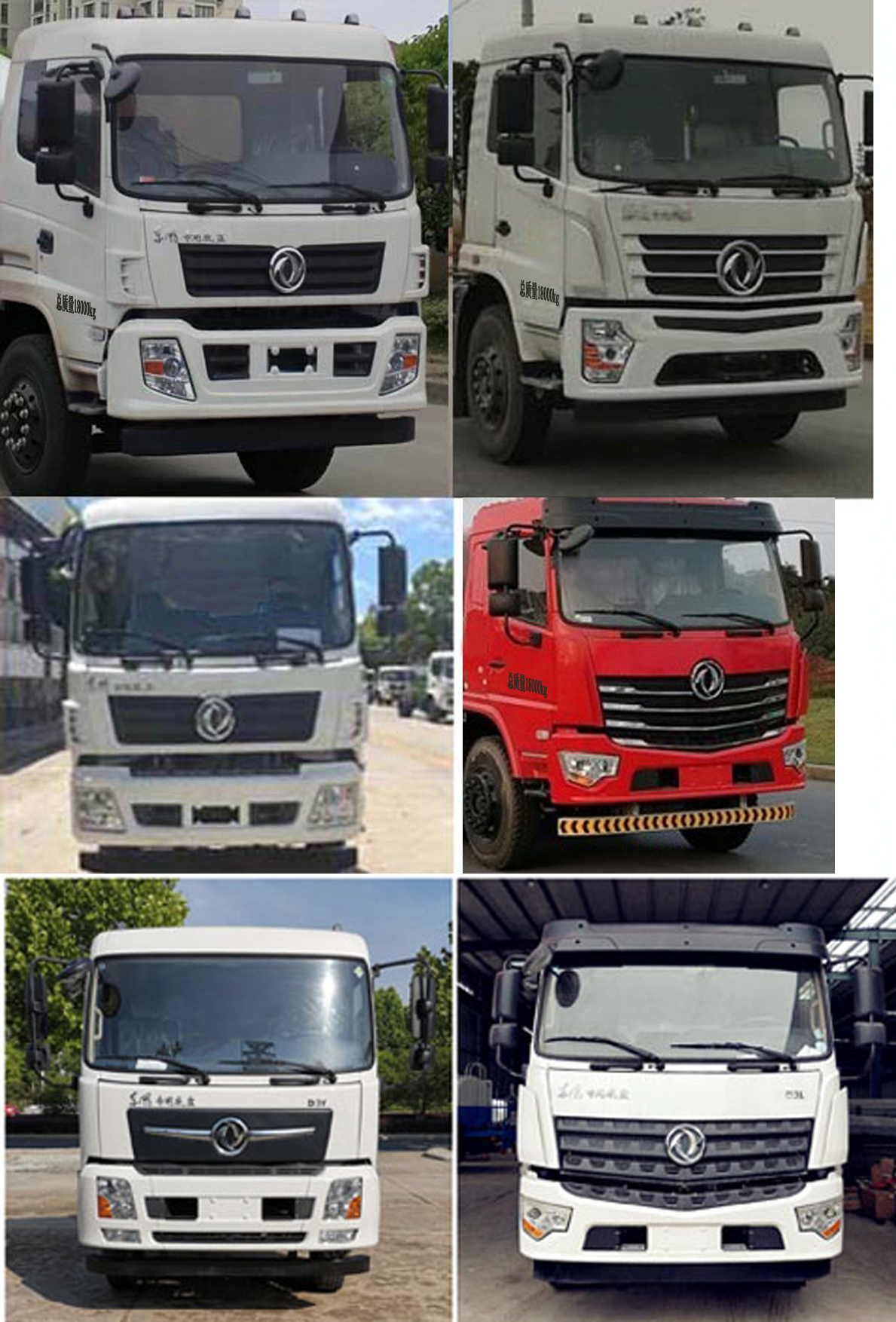 瑞力星牌RLQ5183GPSD6綠化噴灑車公告圖片