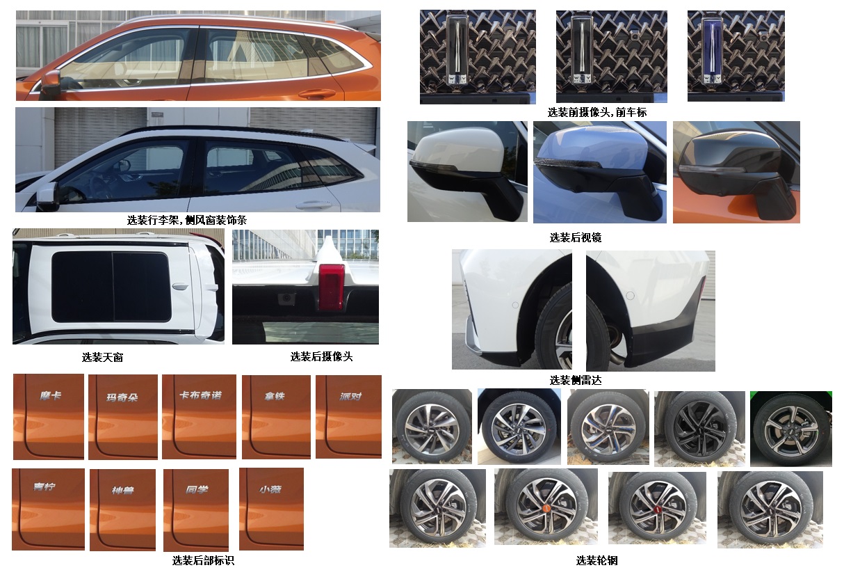 魏派牌CW6450AG00A多用途乘用车公告图片