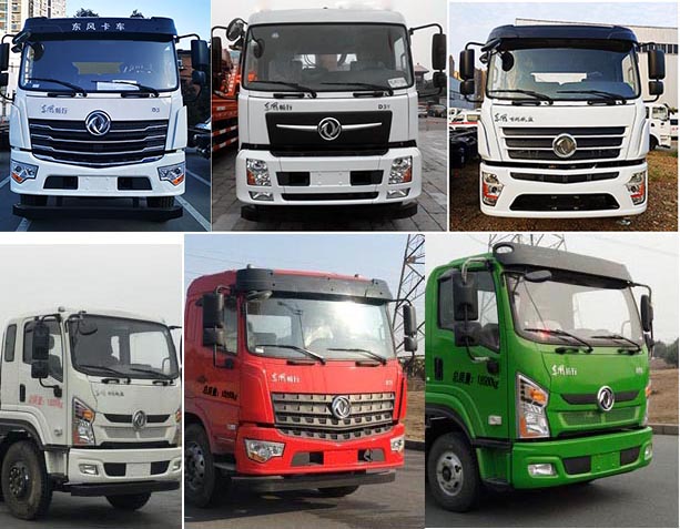 帝王環(huán)衛(wèi)牌HDW5161GPSD6綠化噴灑車公告圖片