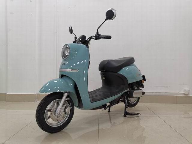新蕾牌XL600DQT-2A电动两轮轻便摩托车公告图片