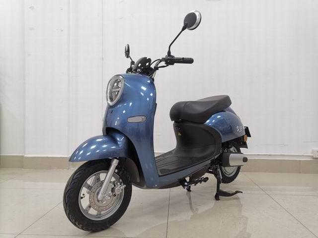 新蕾牌XL600DQT-2A电动两轮轻便摩托车公告图片