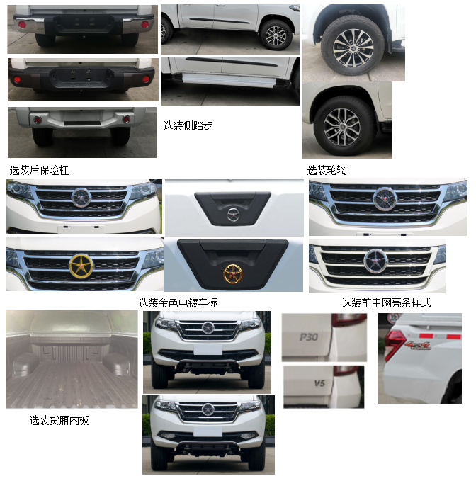 大運牌DYQ5030XXYF6Y廂式運輸車公告圖片