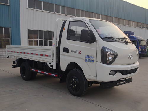 時風牌SSF5046ZLJDJ42Y自卸式垃圾車公告圖片