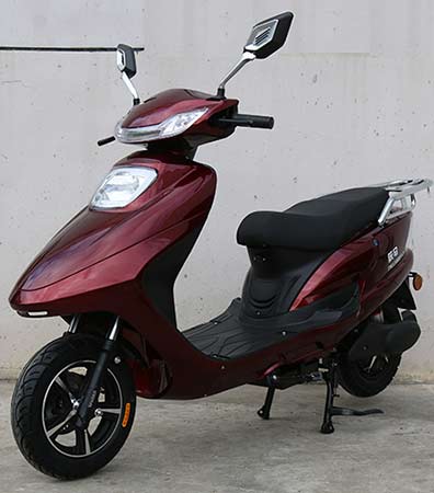 统马牌TM1200DT-3电动两轮摩托车公告图片