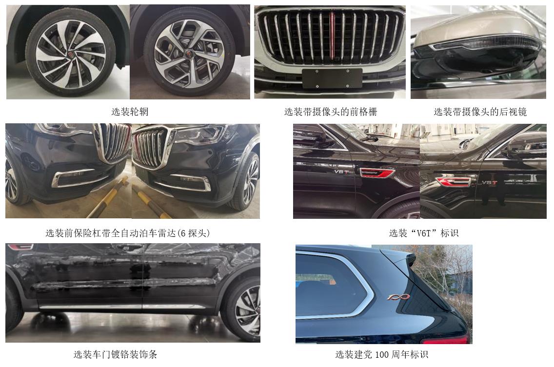 红旗牌CA6500T1多用途乘用车公告图片