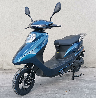 金箭牌JJ1200DT-21电动两轮摩托车公告图片