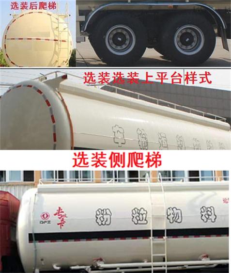 东风牌DFZ5310GFLB低密度粉粒物料运输车公告图片