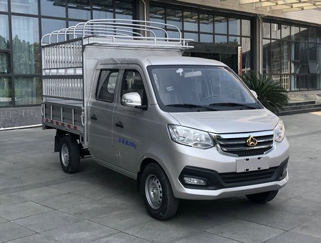 長(zhǎng)安牌SC5021CCYTMS6B1倉(cāng)柵式運(yùn)輸車(chē)公告圖片