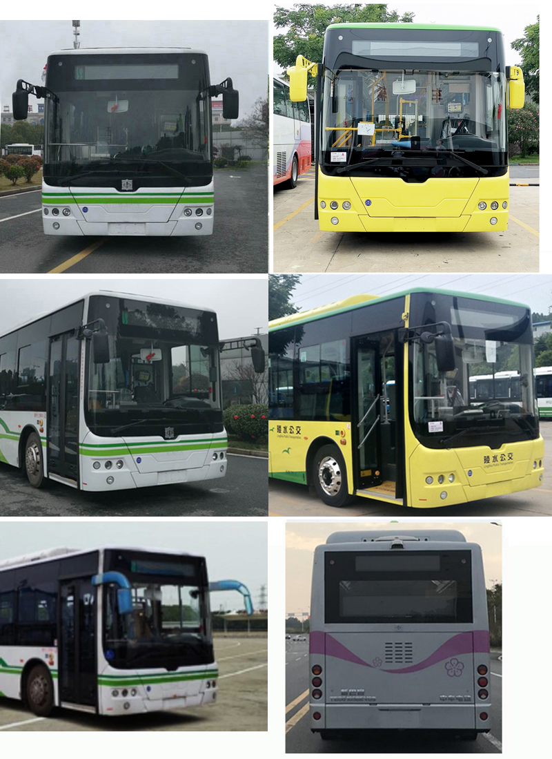 中国中车牌TEG6105BEV23纯电动低入口城市客车公告图片