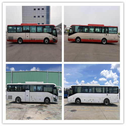 广通牌TJR6119CHEVBT1插电式混合动力城市客车公告图片