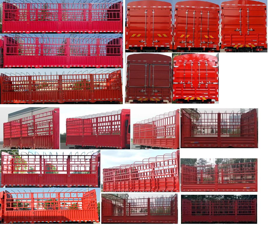 大運(yùn)牌DYQ5243CCYD6CB倉(cāng)柵式運(yùn)輸車公告圖片