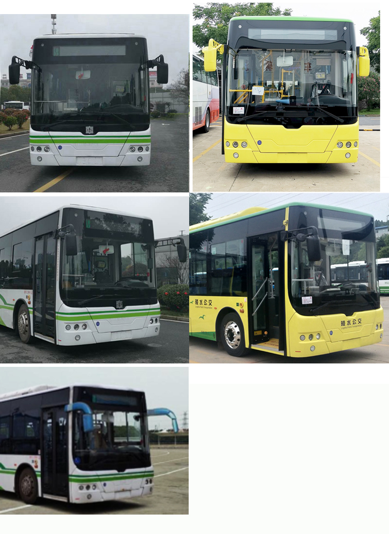 中国中车牌TEG6105BEV25纯电动低地板城市客车公告图片