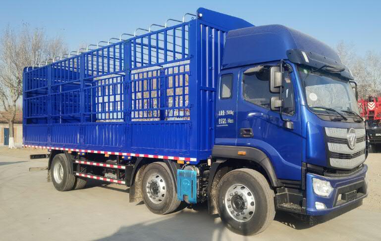 福田牌BJ5256CCY-1A仓栅式运输车公告图片