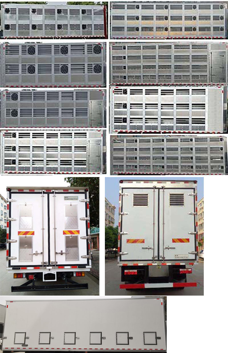 楚勝牌CSC5186XCQB6雛禽運(yùn)輸車(chē)公告圖片