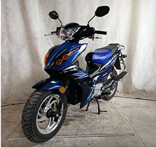 东本牌DB2000D电动两轮摩托车公告图片