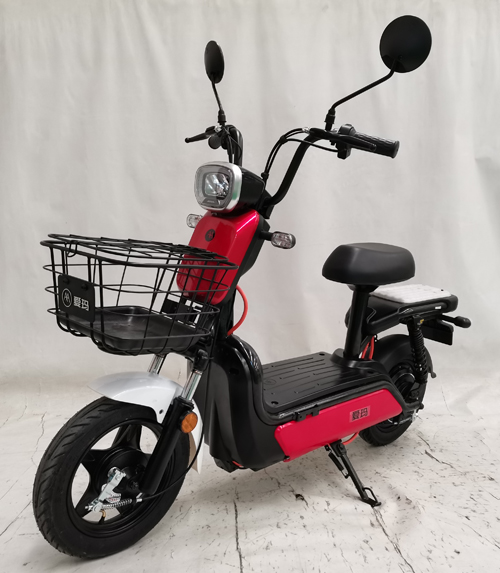 爱玛牌AM500DQT-34K电动两轮轻便摩托车公告图片