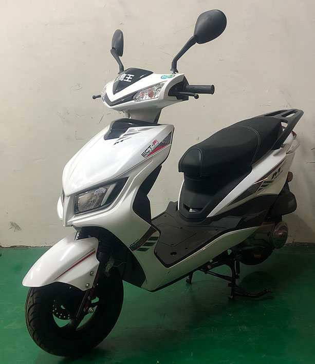 沃鹰王牌YW125T-8B两轮摩托车公告图片