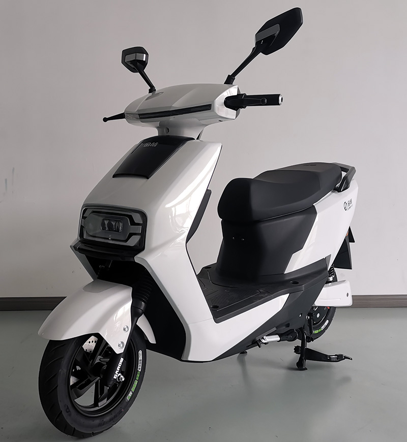 金箭牌JJ1200DT-45电动两轮摩托车公告图片