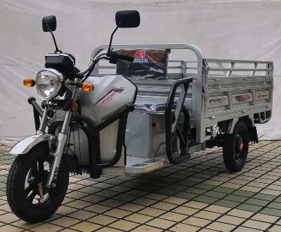 大阳牌DY1500DZH-3A电动正三轮摩托车图片