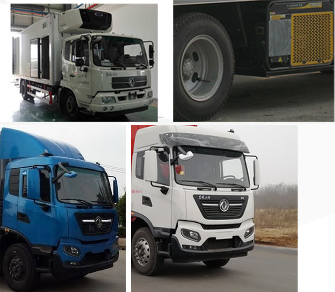 飛球牌ZJL5180XCQD6雛禽運(yùn)輸車公告圖片