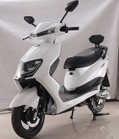 立马牌LM1200DT-6A电动两轮摩托车公告图片