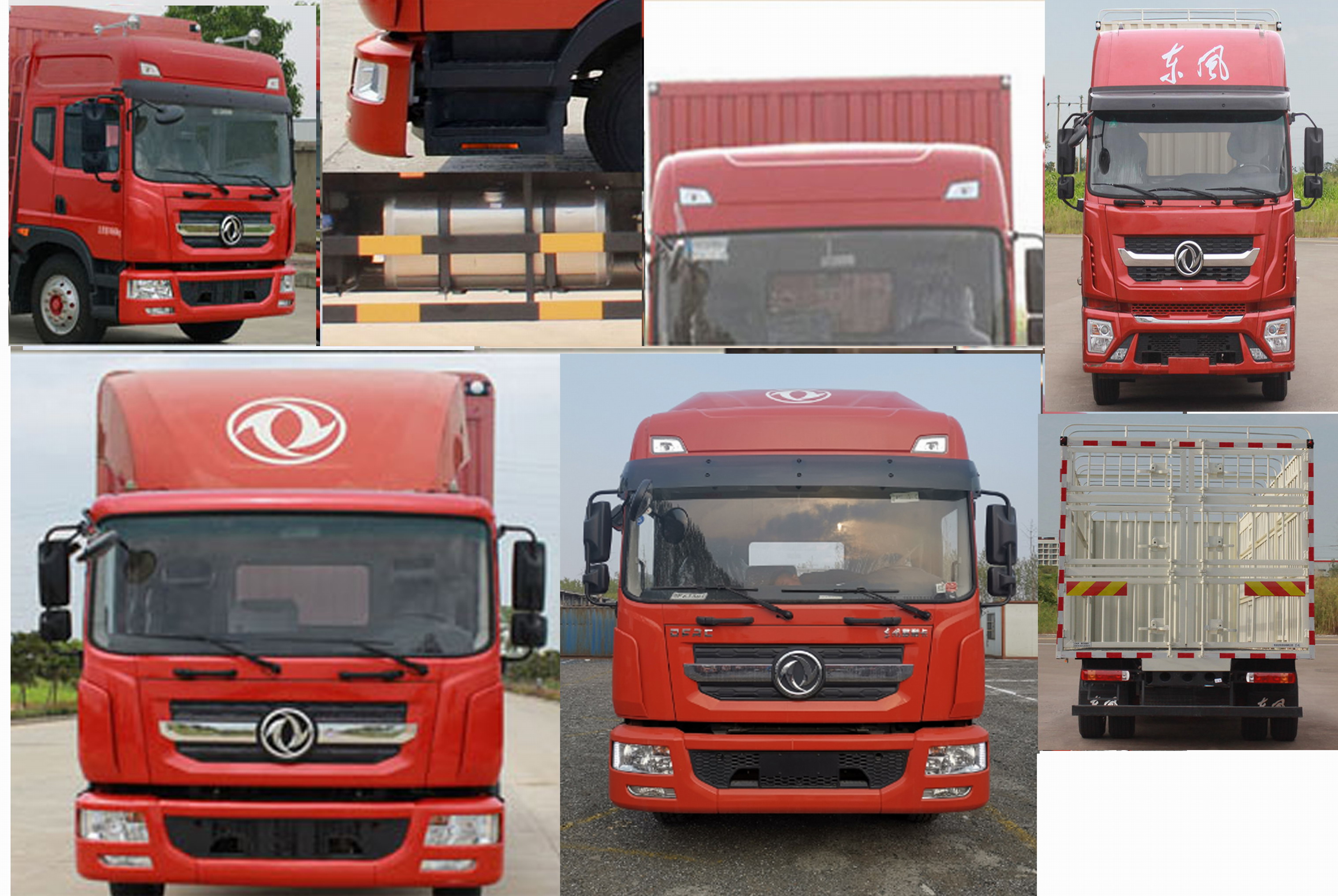 東風(fēng)牌EQ5181CCQL9CDGAC畜禽運(yùn)輸車公告圖片