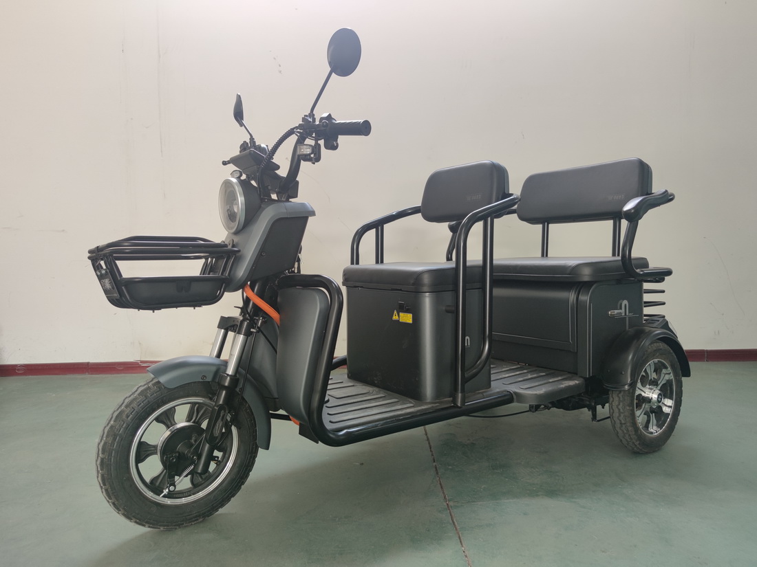 赛利特牌SLT1200DZK-2电动正三轮摩托车公告图片