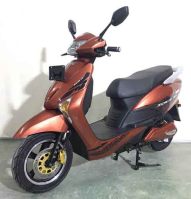 电动两轮轻便摩托车